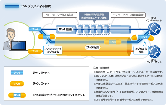 v6プラスコース